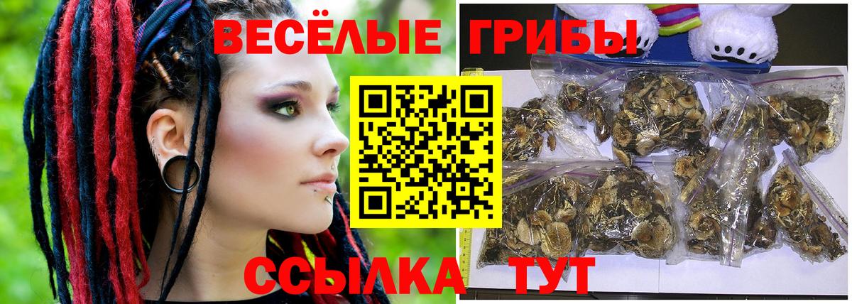 Галлюциногенные грибы ЛСД  Псилоцибиновые грибы MAGIC MUSHROOMS  Вход с VPN  Гулькевичи 